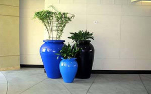 pot plants