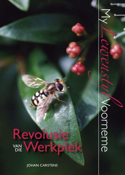 Revolusie van die werksplek